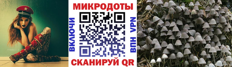 Галлюциногенные грибы прущие грибы omg как войти Аткарск